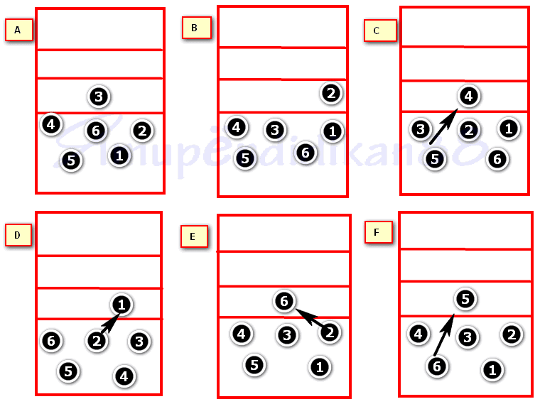Pola Permainan Bola Voli Menyerang dan Bertahan