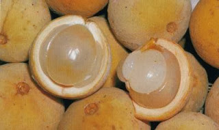 Isi Kandungan Nutrisi Gizi Buah Duku