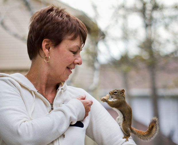 Nancy Rose Squirrel Photography