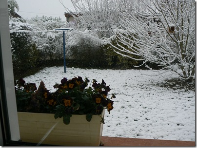 Neige - 8 mars 2010