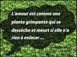 Proverbe d'amour indien en image