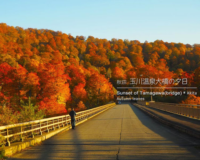玉川温泉大橋の紅葉（夕暮れ時）秋田県