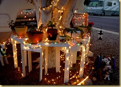 2011-12-22 - AZ, Yuma - Cactus Gardens, Our Christmas Decorations (6)