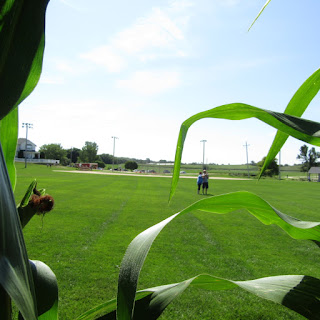 Corn field at Field of Dreams Movie Site