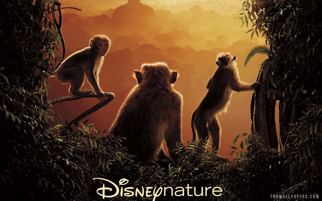 Watch New 2012-2013 Disney Movies Online For Free