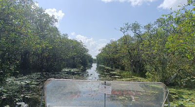 Tour en hidrodeslizador por los Everglades.