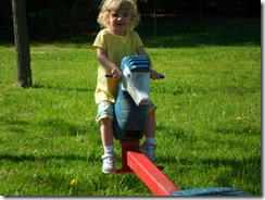 SAM_0791