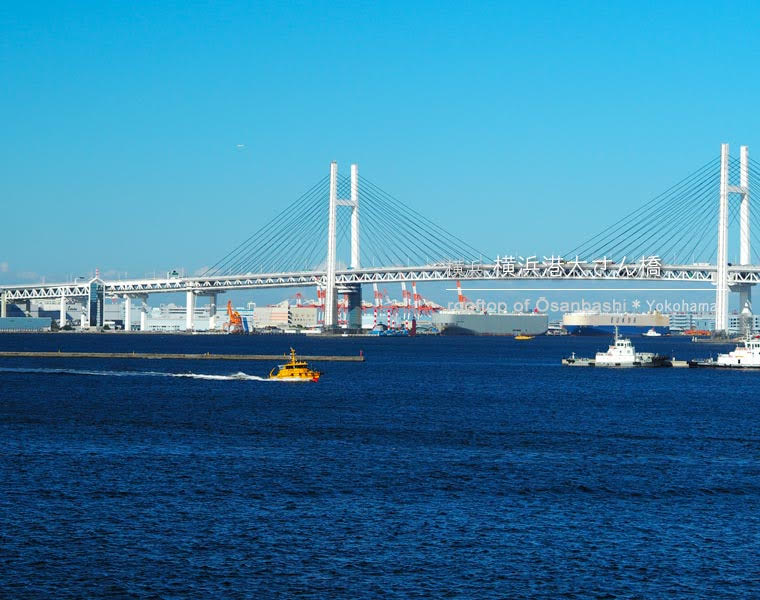 横浜･大さん橋のくじらのせなか