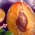 What Happens To Your Body If You Eat 5 Plums Daily, You Will Be Shocked By The Effects