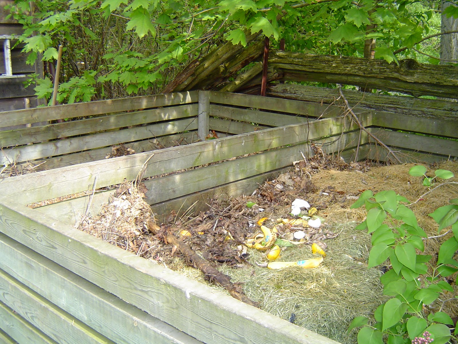 Image Back Yard Compost Bin Download