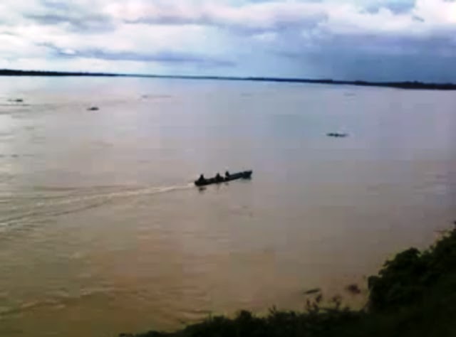 Vídeo - Amazônia, a balieira ultrapassa o peque-peque 2013