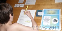 Math Mammoth grade 4-2