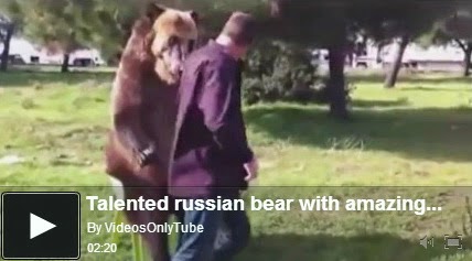 http://funkidos.com/videos-collection/amazing-videos/talented-russian-bear-with-amazing-skills