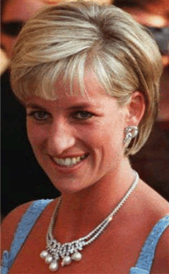  Parr have created a jam made from the hair of the late Princess Diana