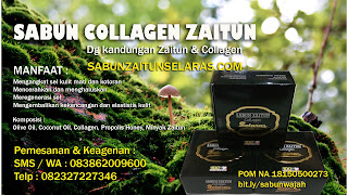 Agen Sabun Zaitun Collagen Speed150 Jawa Timur