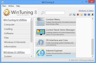 WinTuning 8 1.2 Proffesional Full Version