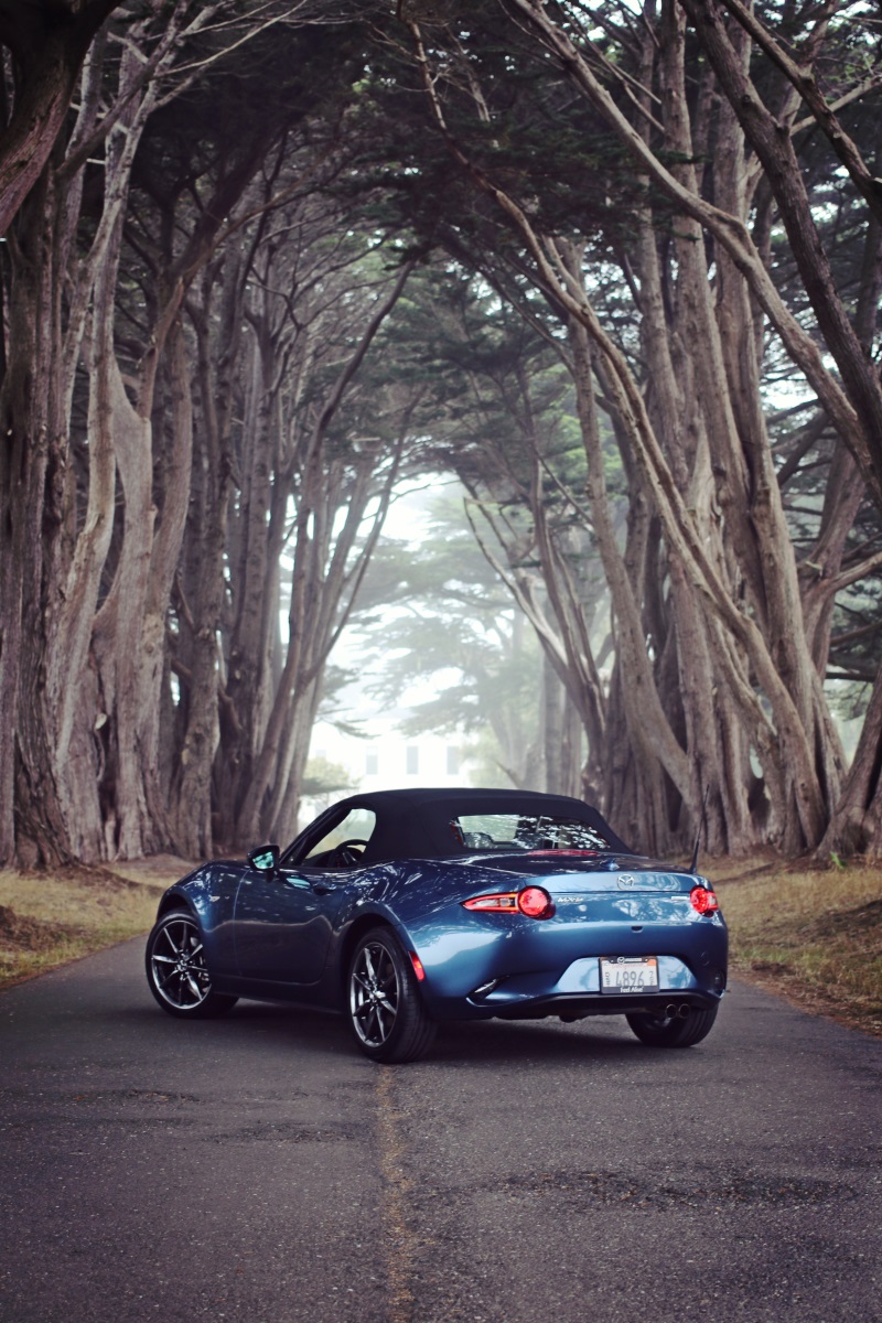 Mazda MX5 in Tree Tunnel