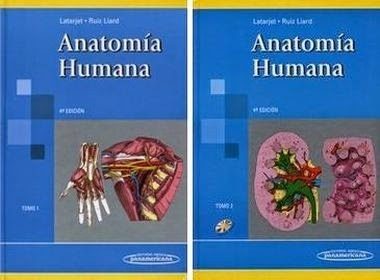 Principios de anatomia y fisiologia tortora 15 edicion pdf