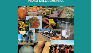 Manual del Cultivo de zapallo .- Libros gratis