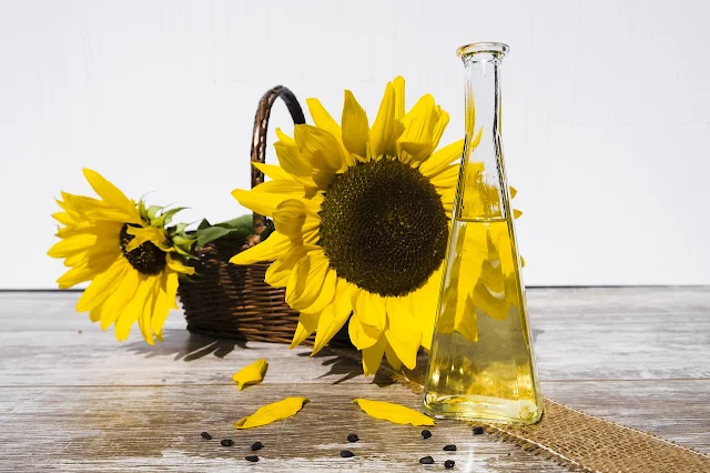 Sunflower Oil, Healthy Oil that is Rich in Benefits