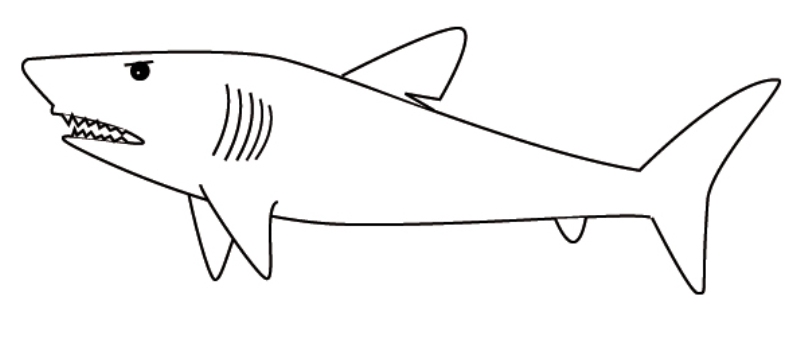 Halaman belajar mewarnai gambar  binatang ikan hiu