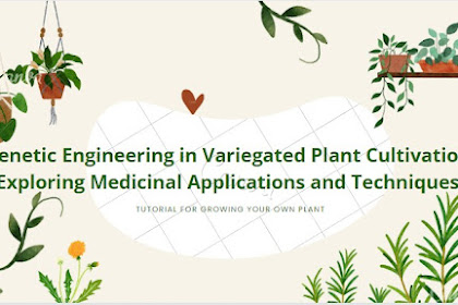 Genetic Engineering in Variegated Plant Cultivation: Exploring Medicinal Applications and Techniques.