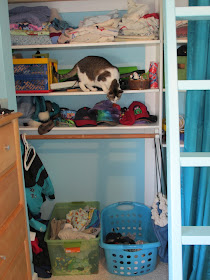 closet with shelves - and a cat