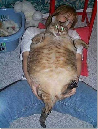pet