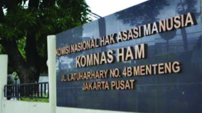 Komnas HAM Akan Tetapkan Kasus Gagal Ginjal Akut Jadi KLB di Rapat Paripurna