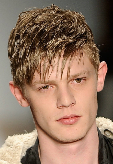 Men Hairstyle 2011 ~ Zee Post