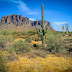 Etats-Unis - Tortilla Flat sur l'Apache Trail