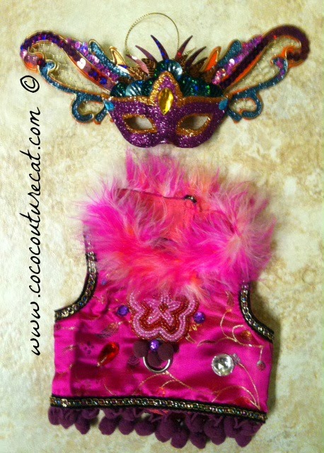 Coco the Cornish Rex cat Mardi Gras costume
