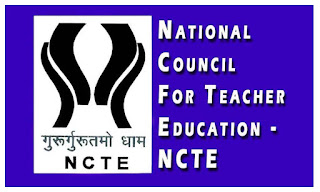 NCTE का इशारा:प्राइमरी में बीएड डिग्री धारकों को मौका नहीं! तैयारी कर रहे लाखों अभ्यर्थियों को झटका!