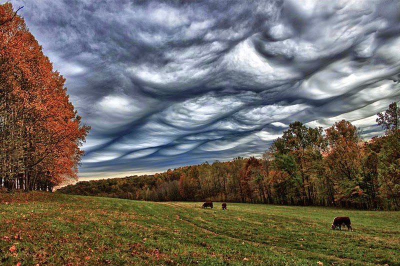 Undulatus Asperatus - Beautiful Strange And Rare Cloud Formations