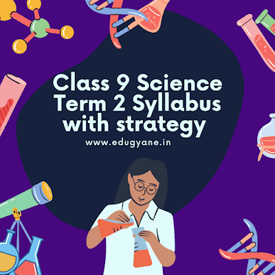 Class 9 term 2 strategy