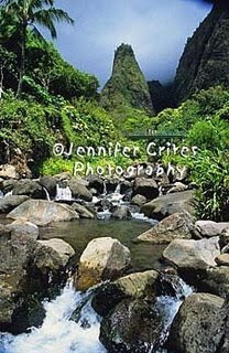 Visit Iao Valley on Maui