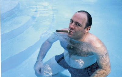 james gandolfini swimming in pool