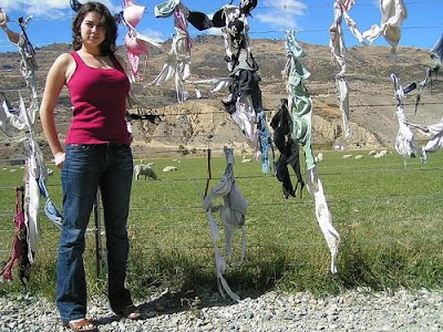 The Cardrona Bra Fence of New Zealand