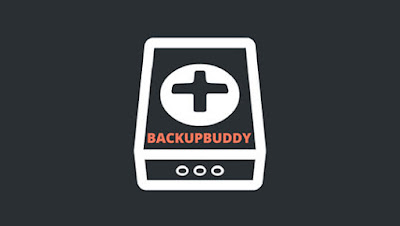 Backupbuddy wordpress plugin