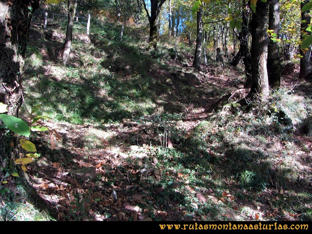 Ruta Baiña, Magarrón, Bustiello, Castiello. Bosque