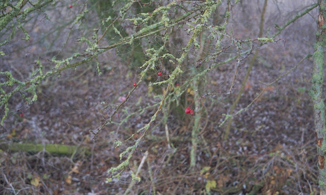 Mist, oudejaarsdag 2019