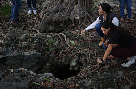 Fomentamos la conservación de nuestros cenotes urbanos: Ana Patricia Peralta