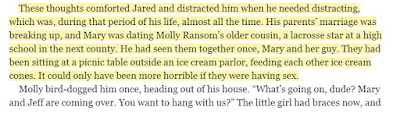 These thoughts comforted Jared and distracted him when he needed distracting, which was, during that period of his life, almost all the time. His parents’ marriage was breaking up, and Mary was dating Molly Ransom’s older cousin, a lacrosse star at a high school in the next county. He had seen them together once, Mary and her guy.