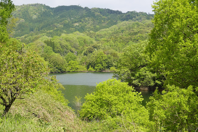 鳥取県西伯郡南部町上中谷 上長田小学校跡地からの眺望