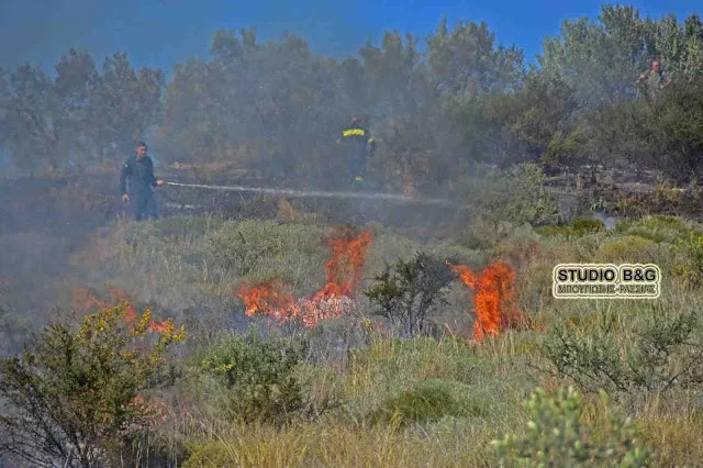 Αργολίδα: Πυρκαγιά σε ρέμα προς τον Αμαριανό