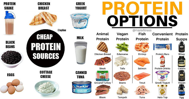 Affordable and Nutritious: Exploring Low-Cost Protein Options