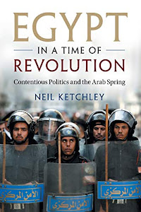 Egypt in a Time of Revolution: Contentious Politics and the Arab Spring (Cambridge Studies in Contentious Politics)