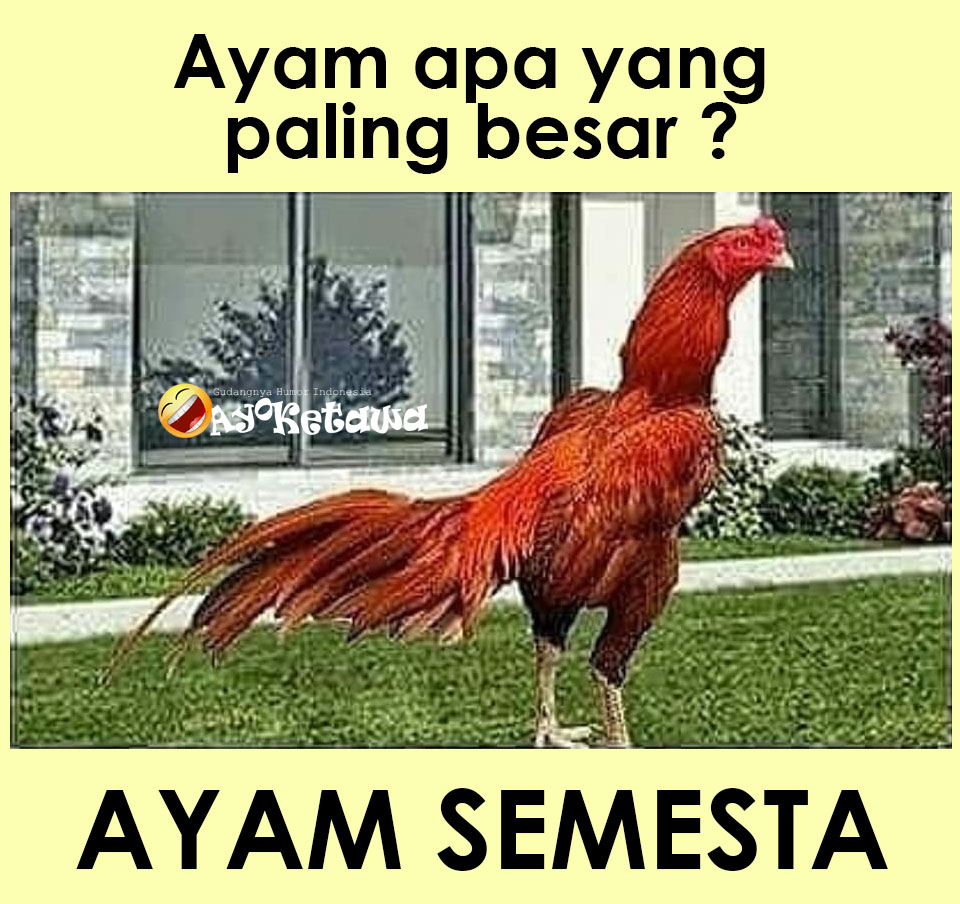 Meme Tebak Tebakan Lucu Yang Super Konyol Ayo Ketawa Gudangnya