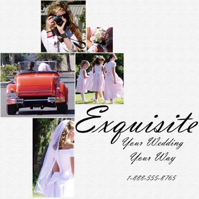 This was a sample layout to show how a wedding photographer might use a