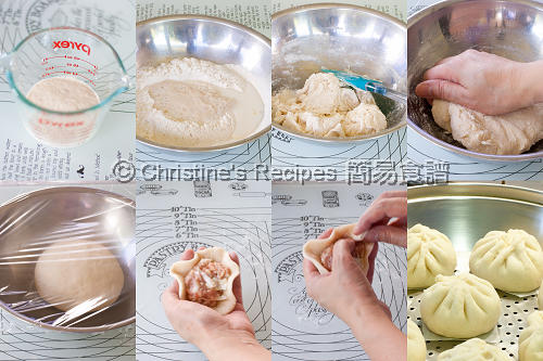 Steamed Pork Buns Procedures